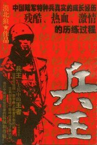 兵王电视剧