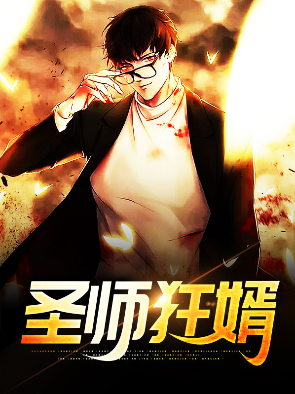 狂师王婿