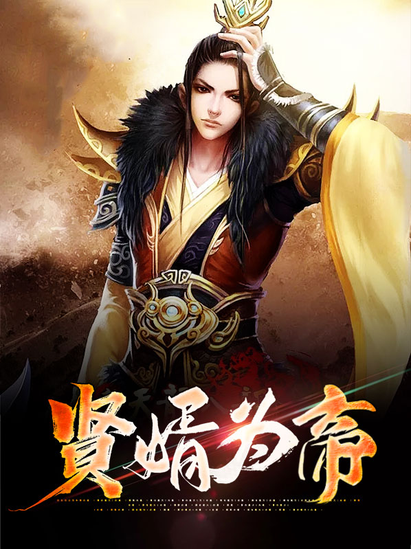 贤婿天帝 小说