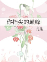 你指尖的巅峰全文阅读