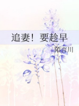 追妻要趁早 小说免费阅读