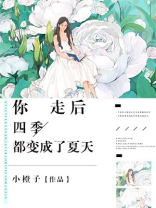 你走后,四季都变成了夏天歌词