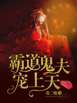 霸道王爷宠上天小说