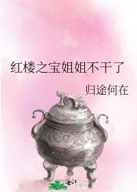 红楼之宝姐姐不在了