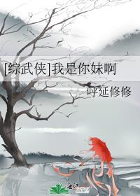 [综武侠]我是你妹啊 呼延修修