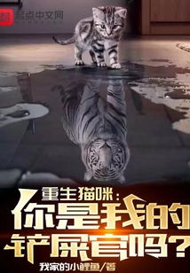 重生猫咪:你是我的铲屎官吗? 小说