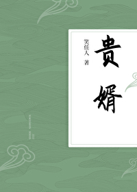 贵婿临门周毅免费全文阅读