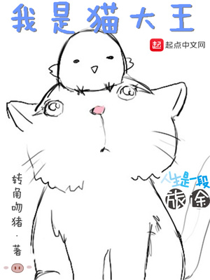 我是猫大王结局