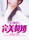 女神的完美赘婿电视剧全集