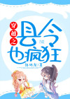 穿越之县令也疯狂TXT