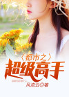 都市之超级高手 小说