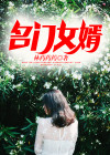 名门赘婿全本