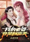 我的老婆白富美 小说