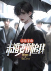 主角叫天龙N的小说