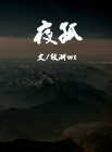 夜孤楼是什么小说