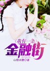 我有一条商业街的小说