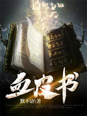 血皮书好不好看