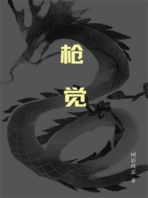 枪觉奇书网