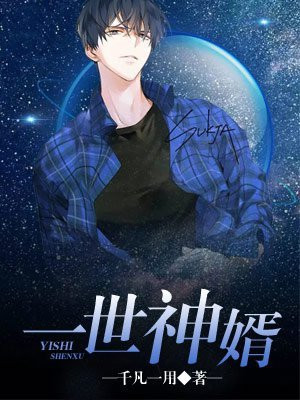一世神婿 小说