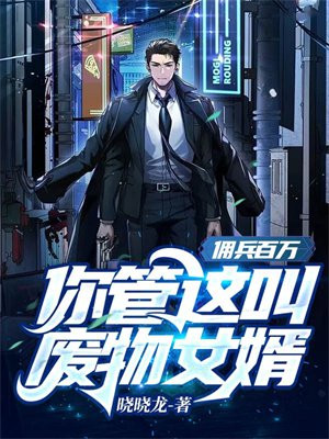 佣兵百万什么意思