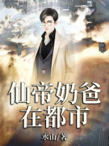 仙帝奶爸在都市小说