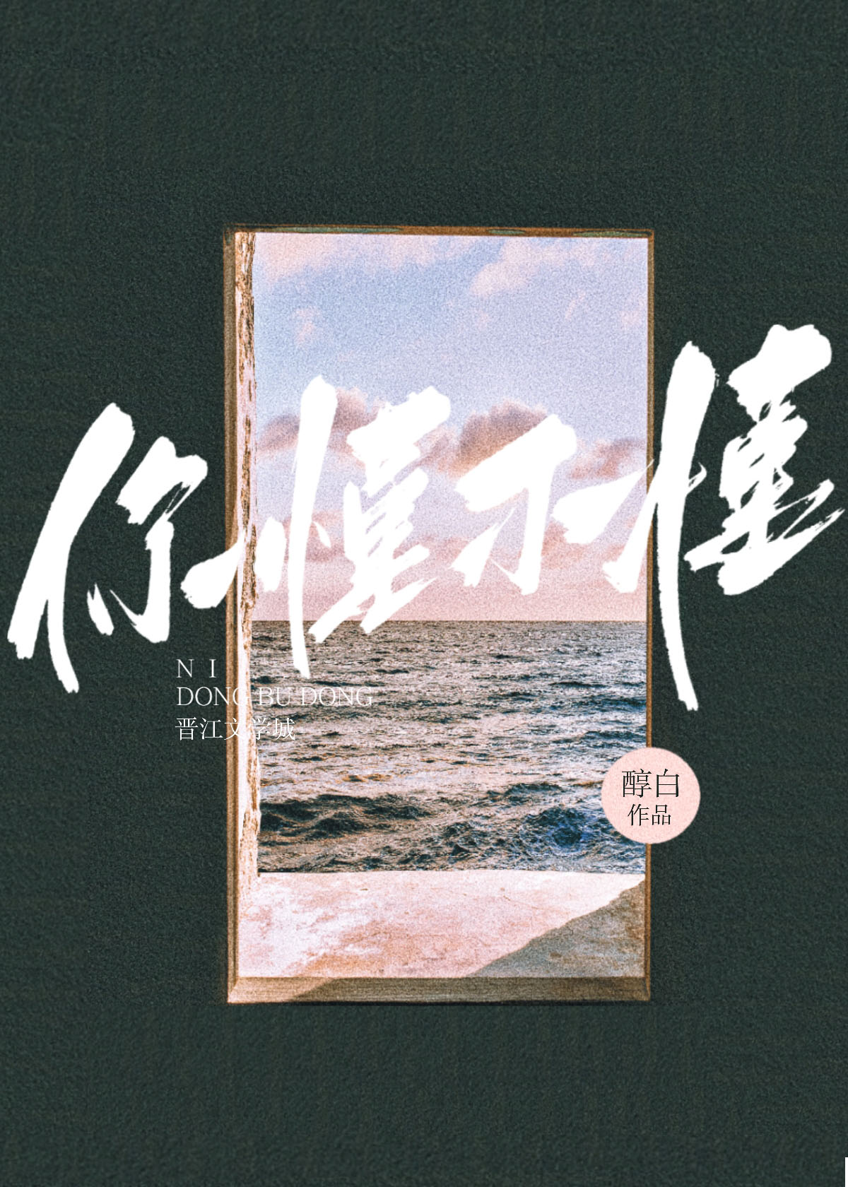 你懂不懂王栎鑫