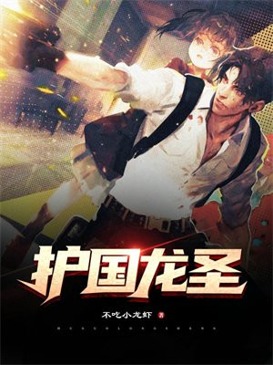 护国龙x