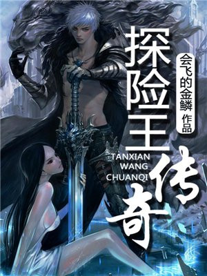 探险王传奇 小说