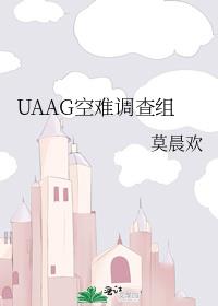 uaag空难调查组双洁吗