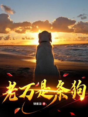 老万是个场面人的梗怎么来的