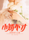 小女婿免费读