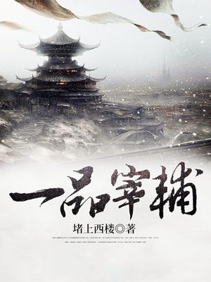 许小闲穿越小说一品宰辅