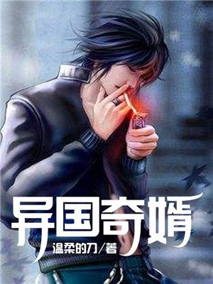 异国奇遇记