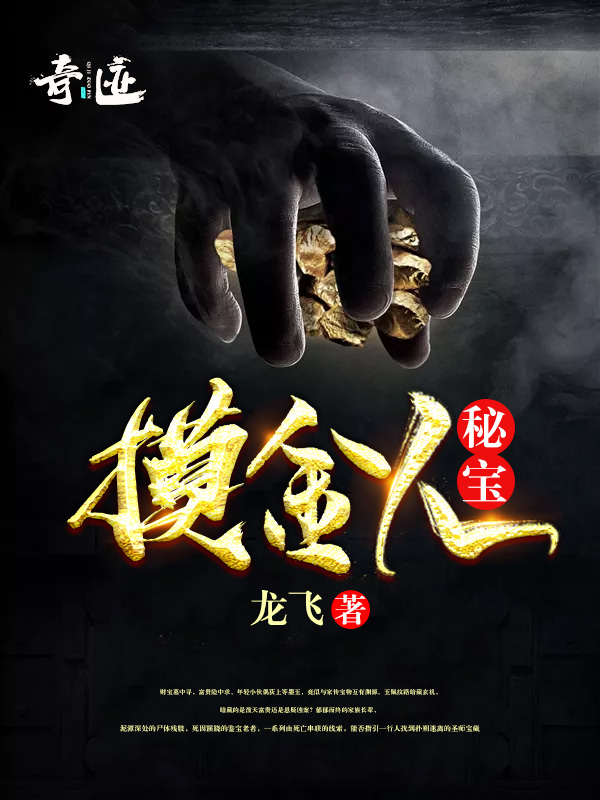 秘宝摸金人 龙飞