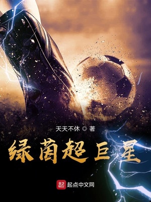 绿茵超巨星小说下载
