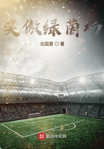 笑傲绿茵场 小说