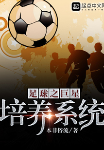 巨星 足球小说