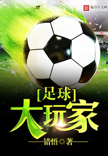 足球大玩家