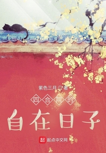四合院的自在日子小说下载