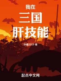 三国11技能组合