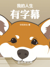 我的人生有字幕百度云