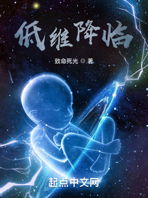 低维降临小说