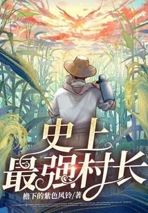 网游:史上最强新手村村长