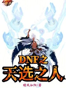 dnf天选之人买几套