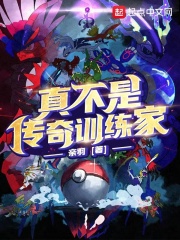 真不是传奇训练家小说免费阅读