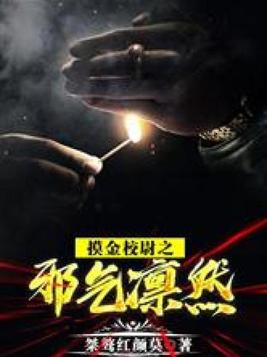 摸金校尉之邪气凛然 小说