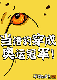 穿越猎豹