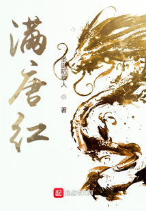 满唐红小说几个女主