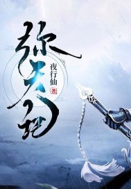 弥天记内容