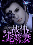 名门暖婚:战神宠娇妻宝贝真乖